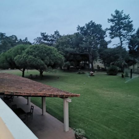 T1 Na Casa Da Quinta S Jose Villa Praia de Mira Eksteriør bilde