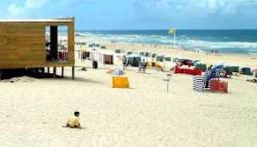 T1 Na Casa Da Quinta S Jose Villa Praia de Mira Eksteriør bilde