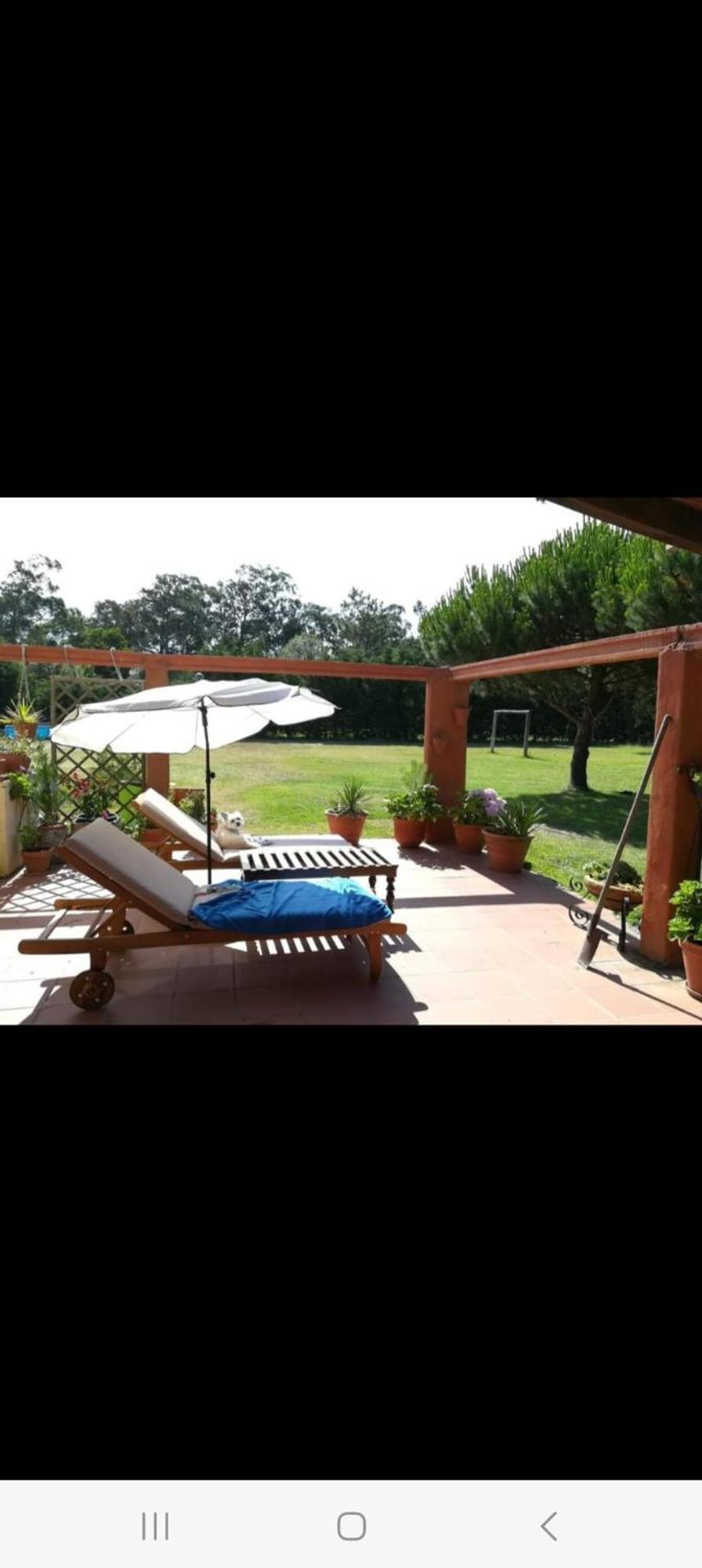 T1 Na Casa Da Quinta S Jose Villa Praia de Mira Eksteriør bilde