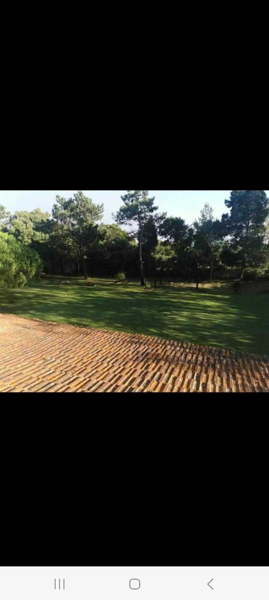 T1 Na Casa Da Quinta S Jose Villa Praia de Mira Eksteriør bilde
